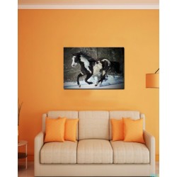 Wall Canvas Frames Digitally Printed FR-3039